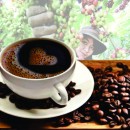 Cà phê An Thái: Tinh hoa của đất trời