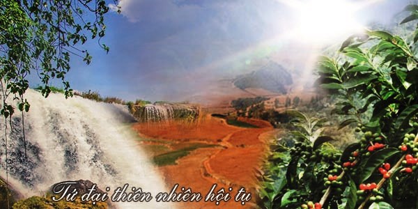 Tứ đại thiên nhiên hội tụ