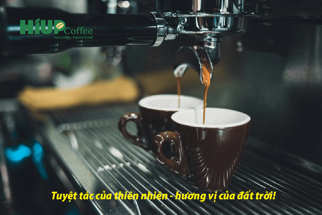 Hiup Coffee: Tuyệt tác của thiên nhiên - Hương vị của đất trời!